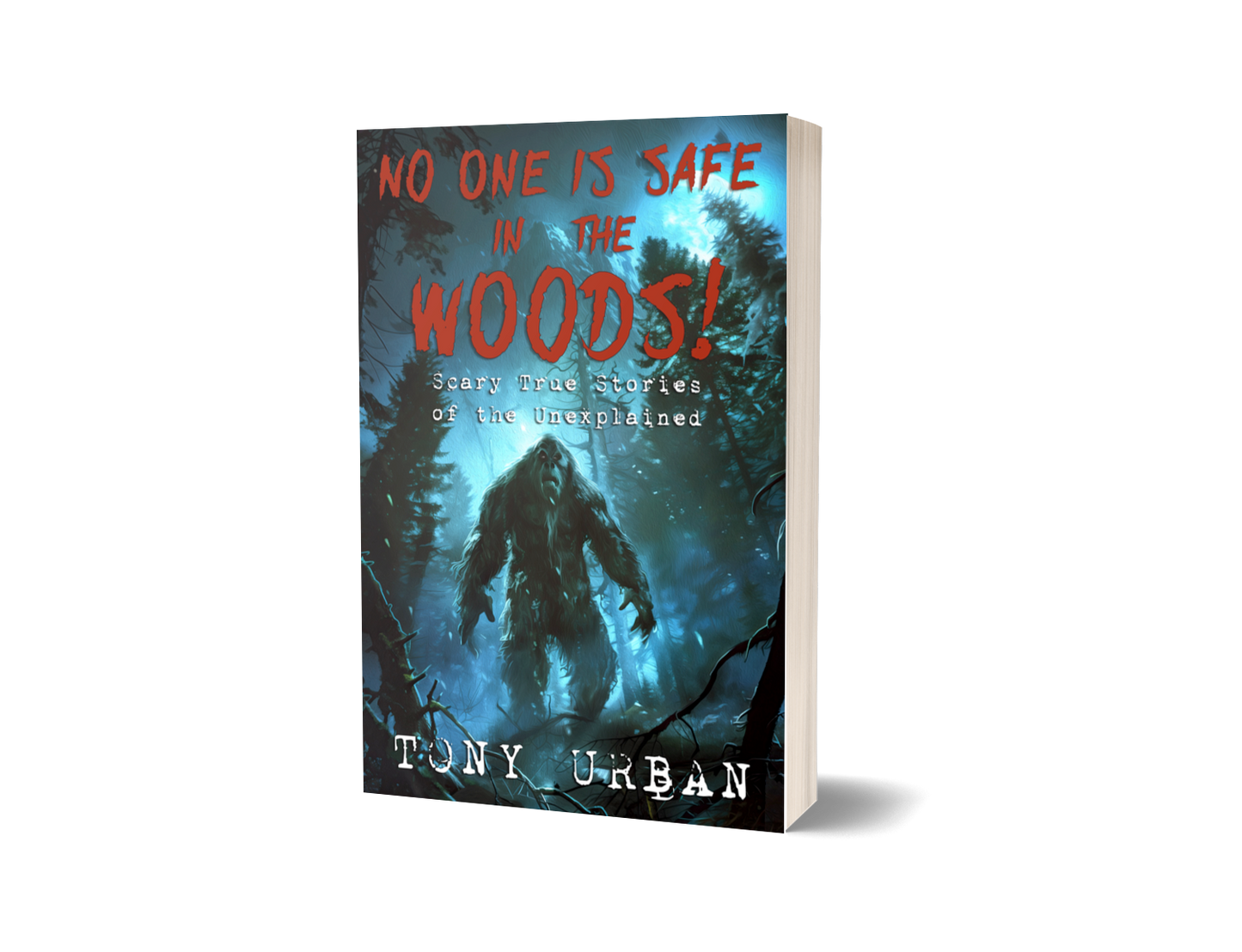 No One Is Safe In The Woods - signed paperback