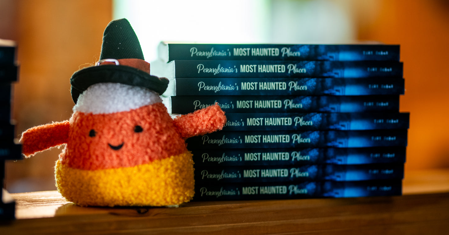 Pennsylvania's Most Haunted Places - signed paperback