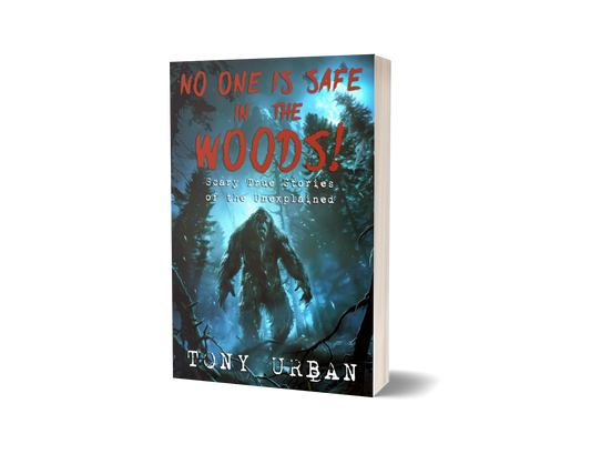 No One Is Safe In The Woods - signed paperback