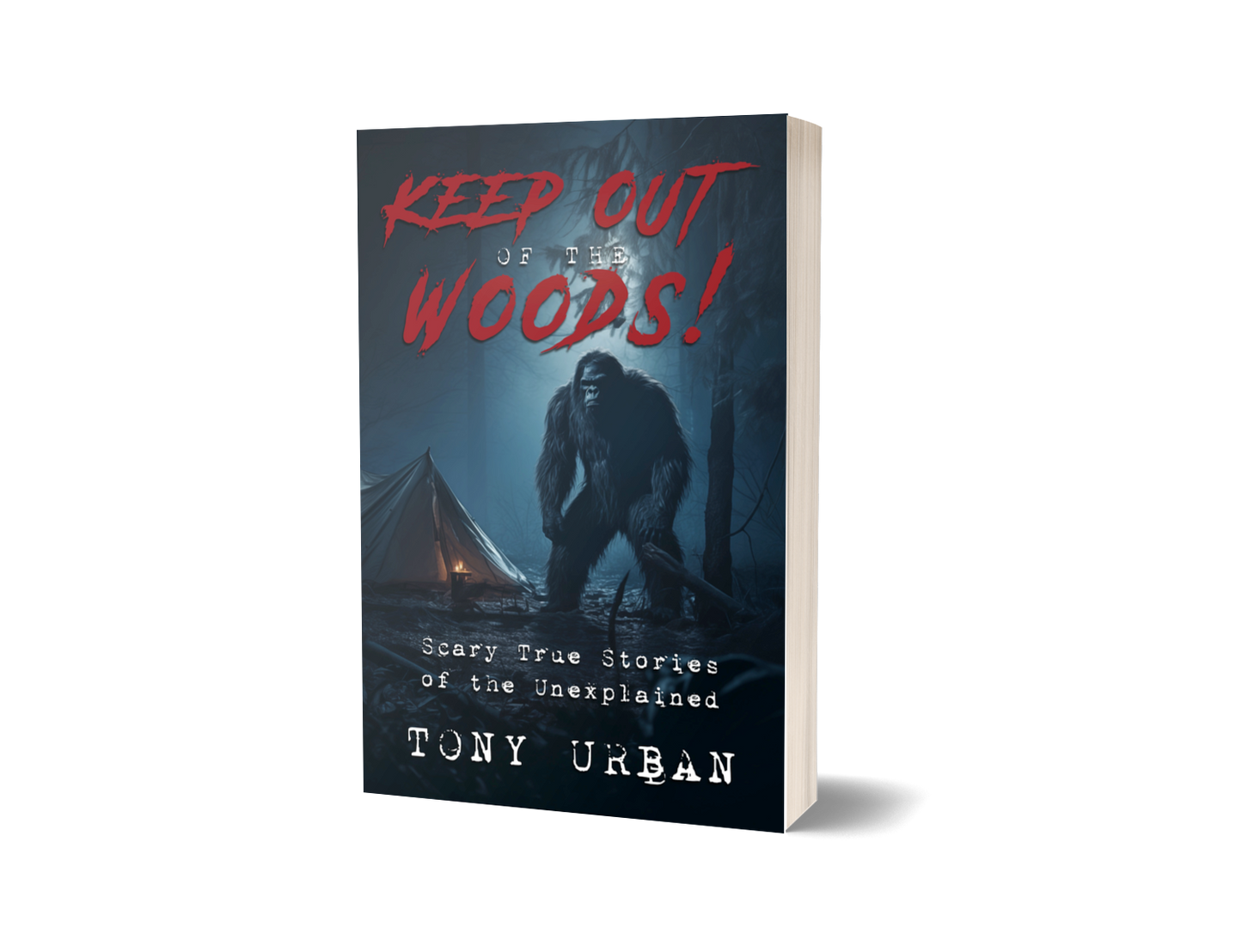 Keep Out of the Woods - signed paperback
