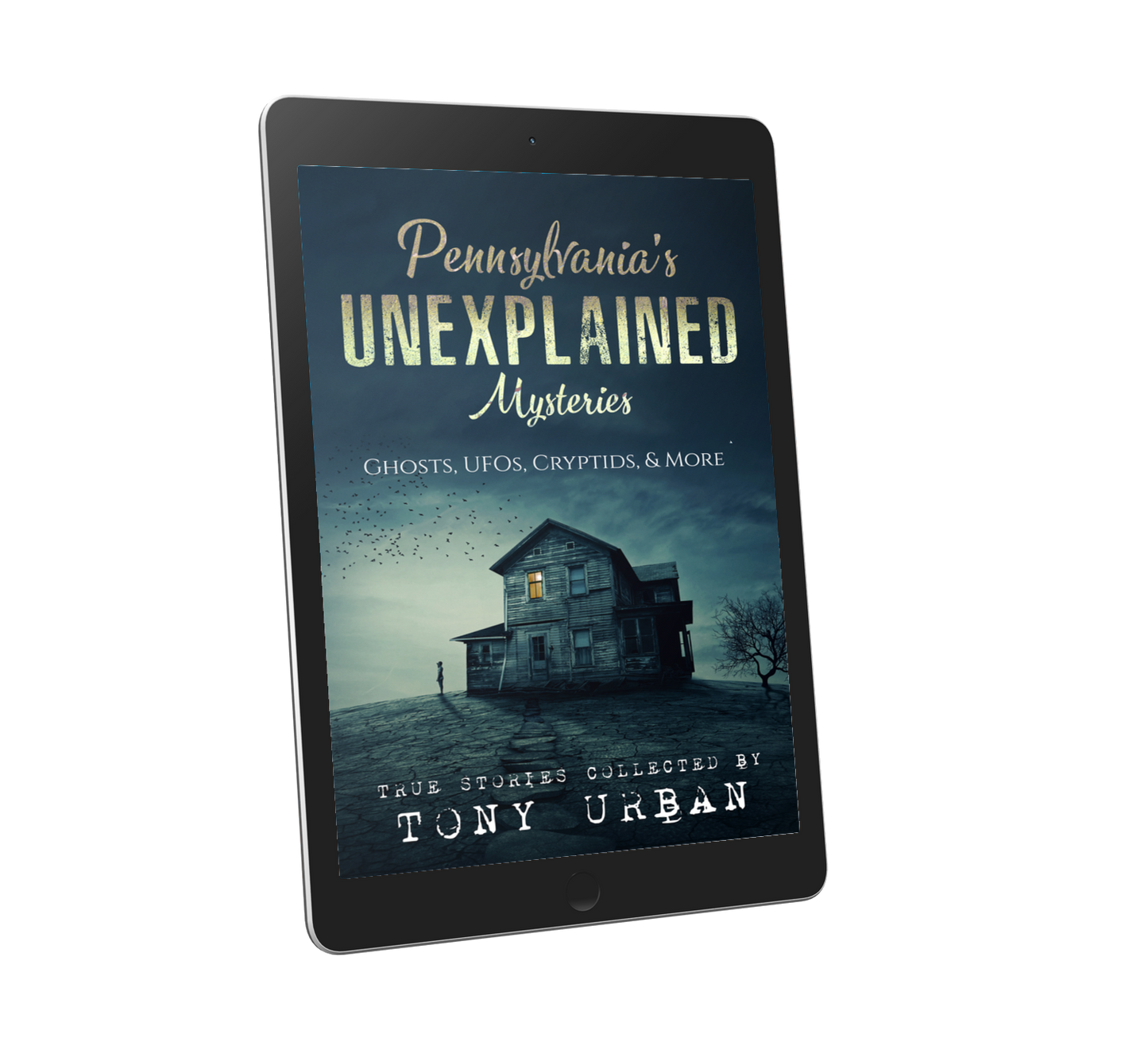 Pennsylvania's Unexplained Mysteries - eBook