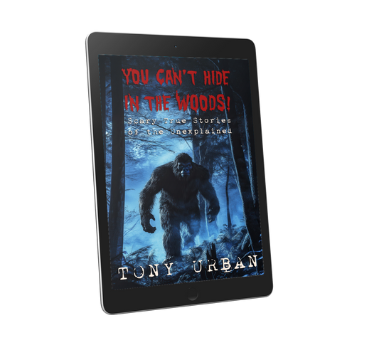 You Can't Hide in the Woods - eBook