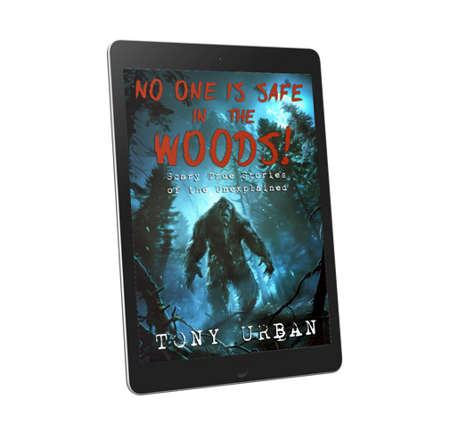 No One Is Safe in the Woods - eBook