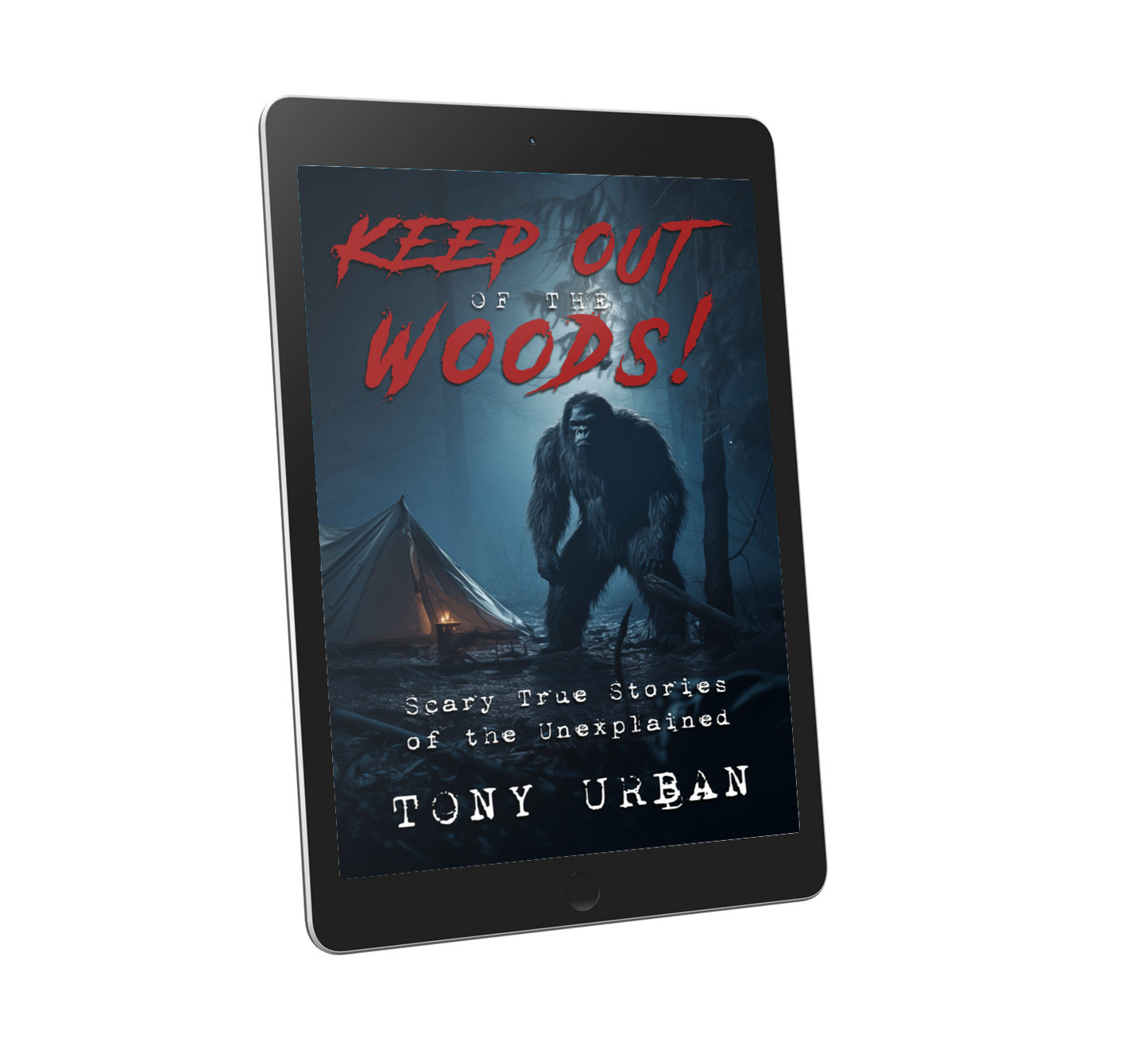 Keep Out of the Woods - eBook
