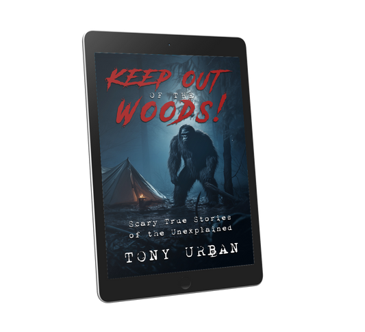 Keep Out of the Woods - eBook