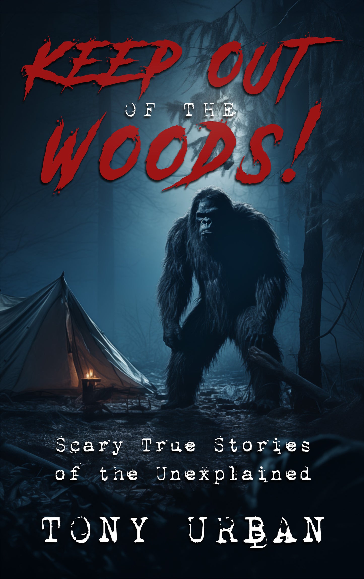 Keep Out of the Woods - eBook