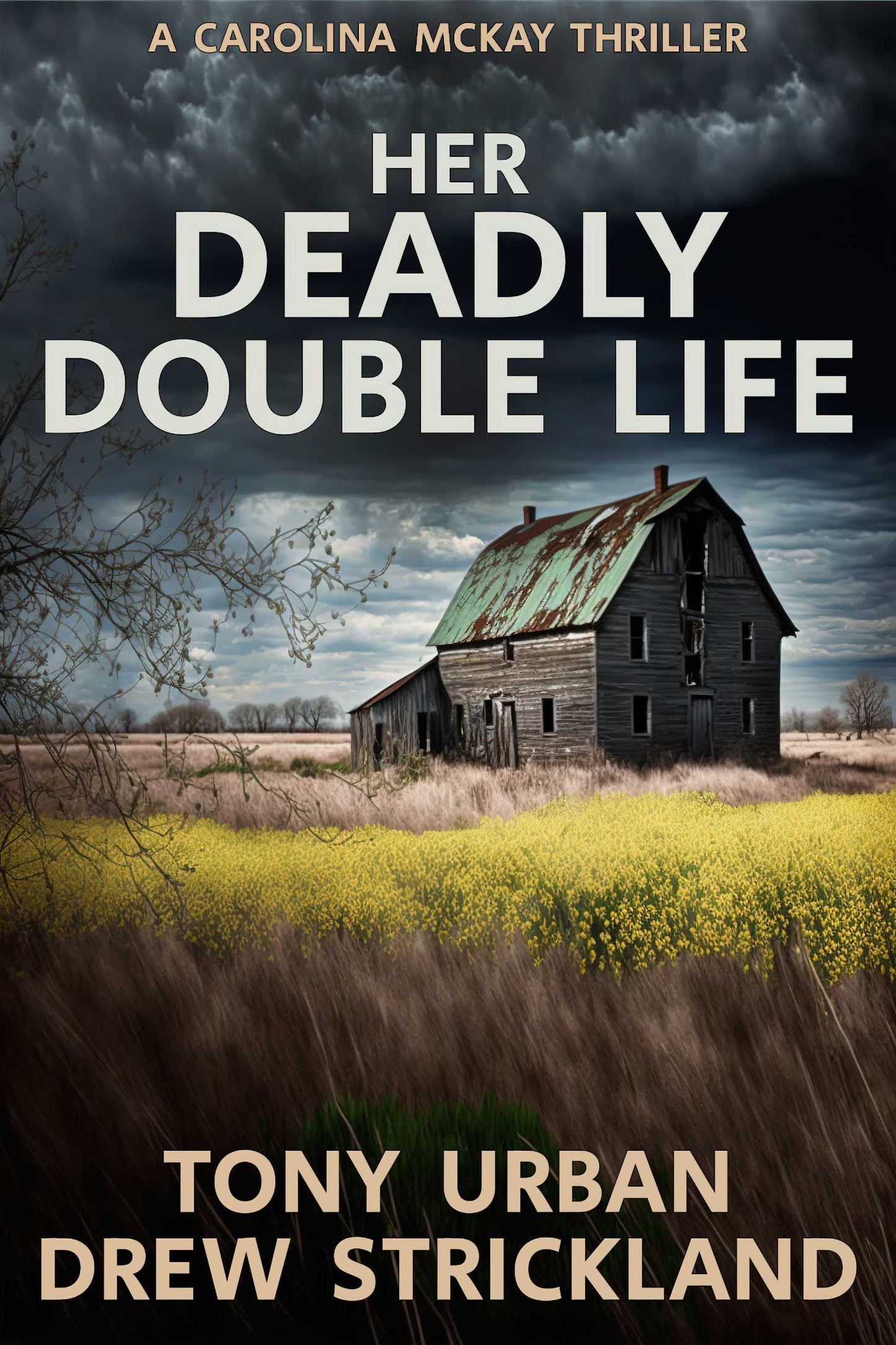 Her Deadly Double Life - signed paperback