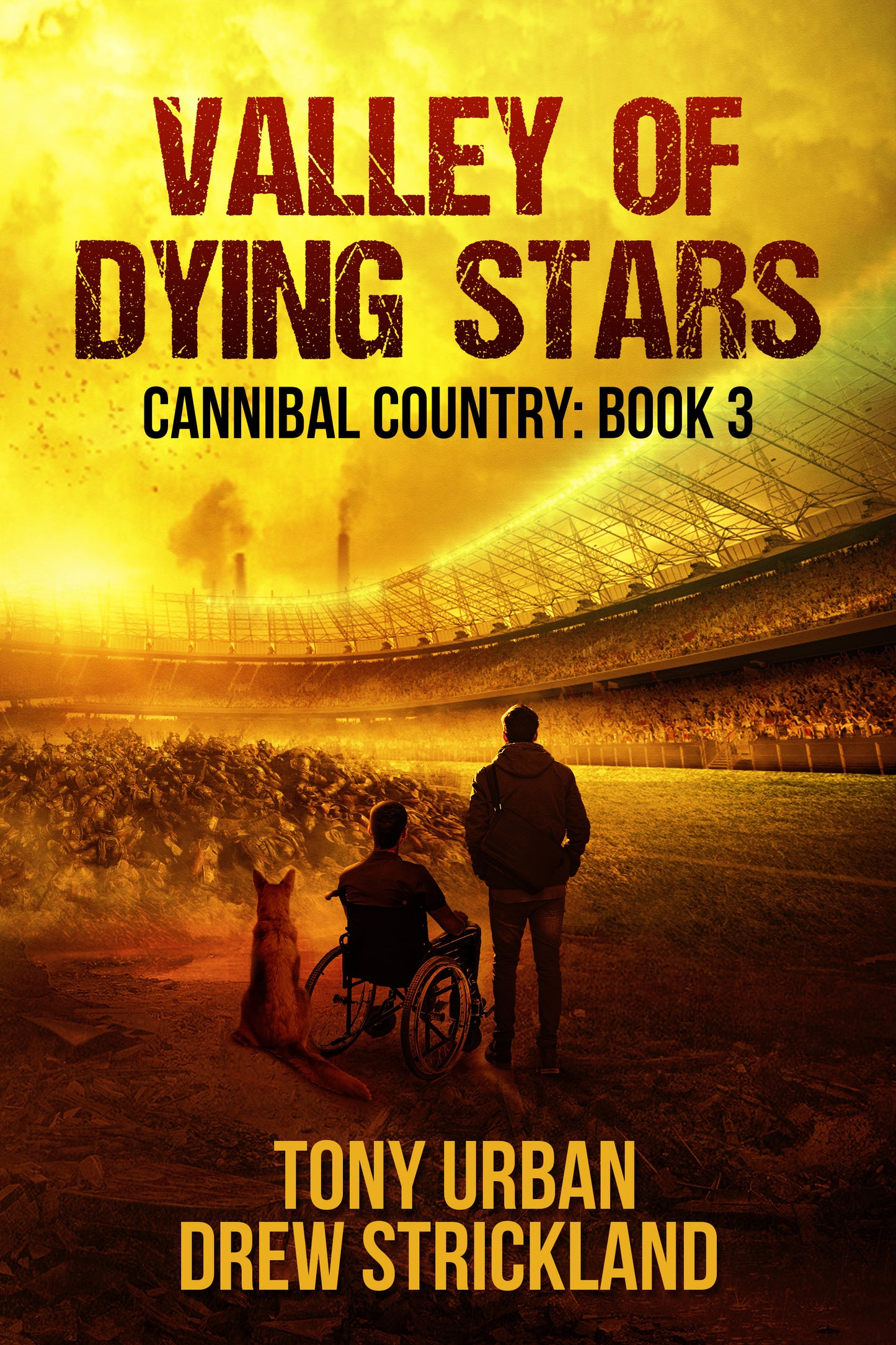 Valley of Dying Stars - signed paperback